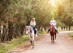 Can You Be Charged for DWI While Riding a Horse?